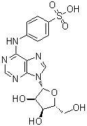 4-[(9-beta-D-Ribofuranosyl-9H-purin-6-yl)amino]benzenesulfonic acid molecular structure (CAS 143668-15-9)