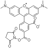 structure of CAS# 150810-68-7, 5-Carboxytetramethylrhodamine succinimidyl ester;5-TAMRASE