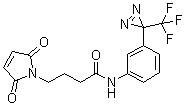 2,5-Dihydro-2,5-dioxo-N-[3-[3-(trifluoromethyl)-3H-diazirin-3-yl]phenyl]-1H-pyrrole-1-butanamide molecular structure (CAS 151077-62-2)