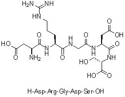 L-alpha-Aspartyl-L-arginylglycyl-L-alpha-aspartyl-L-serine molecular structure (CAS 151997-53-4)