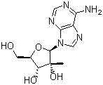 2'-C-Methyladenosine molecular structure (CAS 15397-12-3)