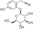 Ehretioside B molecular structure (CAS 156368-84-2)
