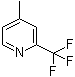 4-甲基-2-(三氟甲基)吡啶分子结构 (CAS 1620-79-7)