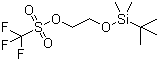 Trifluoromethanesulfonic acid 2-[[(tert-butyl)dimethylsilyl]oxy]ethyl ester molecular structure (CAS 164162-36-1)