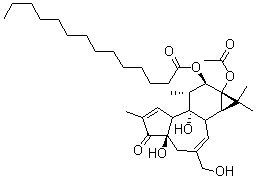 12-O-十四烷酰佛波醋酸酯-13分子结构 (CAS 16561-29-8)