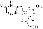 2',3'-O-(Methoxymethylene)uridine molecular structure (CAS 16628-81-2)