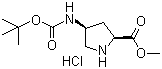 (2S,4S)-4-Boc-Aminopyrrolidine-2-carboxylic acid methyl ester hydrochloride molecular structure (CAS 168263-82-9)
