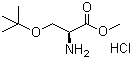O-tert-Butyl-L-serine methyl ester hydrochloride molecular structure (CAS 17114-97-5)
