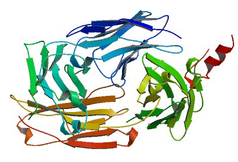 Rituximab molecular structure (CAS 174722-31-7)