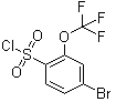 4-溴-2-三氟甲氧基苯磺酰氯分子结构 (CAS 175278-14-5)