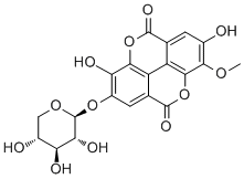 Ducheside A molecular structure (CAS 176665-78-4)
