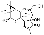 4beta-Phorbol molecular structure (CAS 17673-25-5)