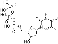 Deoxythymidine triphosphate molecular structure (CAS 18423-43-3)