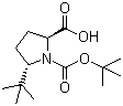 (2S,5R)-N-Boc-5-叔丁基吡咯烷-2-甲酸分子结构 (CAS 185142-15-8)