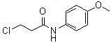 3-Chloro-N-(4-methoxyphenyl)propanamide molecular structure (CAS 19313-87-2)