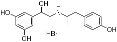 Fenoterol hydrobromide molecular structure (CAS 1944-12-3)