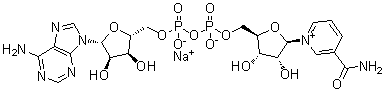 beta-Nicotinamide adenine dinucleotide monosodium salt molecular structure (CAS 20111-18-6)