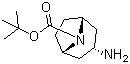 N-Boc-endo-3-aminotropane molecular structure (CAS 207405-68-3)