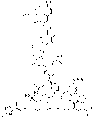 N-[6-[[5-[(3aS,4S,6aR)-Hexahydro-2-oxo-1H-thieno[3,4-d]imidazol-4-yl]-1-oxopentyl]amino]-1-oxohexyl]-L-alpha-glutamyl-L-prolyl-L-glutaminyl-O-phosphono-L-tyrosyl-L-alpha-glutamyl-L-alpha-glutamyl-L-isoleucyl-L-prolyl-L-isoleucyl-L-tyrosyl-L-leucine molecular structure (CAS 215876-01-0)