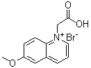 1-(Carboxymethyl)-6-methoxyquinolinium bromide molecular structure (CAS 216672-37-6)