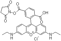 6-Carboxy-X-rhodamine succinimidyl ester molecular structure (CAS 216699-36-4)