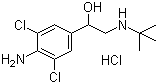 Clenbuterol hydrochloride molecular structure (CAS 21898-19-1)