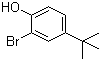 2-Bromo-4-tert-butylphenol molecular structure (CAS 2198-66-5)