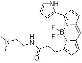 溶酶体红色荧光探针 DND 99分子结构 (CAS 231946-72-8)