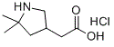 (5,5-二甲基-3-吡咯烷基)乙酸盐酸盐分子结构 (CAS 2375259-86-0)