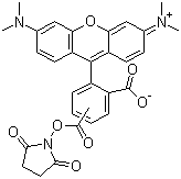 结构式 CAS# 246256-50-8, 5(6)-羧基四甲基罗丹明琥珀酰亚胺酯