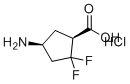 (1S,4S)-4-氨基-2,2-二氟环戊烷-1-羧酸盐酸盐分子结构 (CAS 2496497-79-9)
