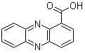 1-Phenazinecarboxylic acid molecular structure (CAS 2538-68-3)