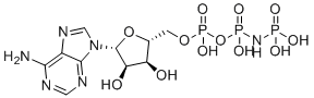 structure of CAS# 25612-73-1, Phosphoaminophosphonic acid-adenylate ester;AMP-PNP;[[[[(2R,3S,4R,5R)-5-(6-aminopurin-9-yl)-3,4-dihydroxyoxolan-2-yl]methoxy-hydroxyphosphoryl]oxy-hydroxyphosphoryl]amino]phosphonic acid