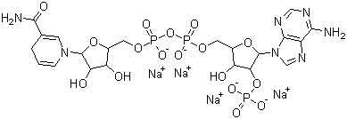 Dihydronicotinamide-adenine dinucleotide phosphate tetrasodium salt molecular structure (CAS 2646-71-1)