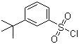 3-叔丁基苯磺酰氯分子结构 (CAS 2905-26-2)