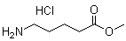 5-Aminopentanoic acid methyl ester hydrochloride molecular structure (CAS 29840-56-0)