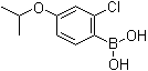 2-Chloro-4-isopropoxybenzeneboronic acid molecular structure (CAS 313545-47-0)