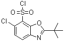 2-tert-Butyl-6-chlorobenzoxazole-7-sulfonyl chloride molecular structure (CAS 361392-60-1)