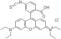 Rhodamine B isothiocyanate molecular structure (CAS 36877-69-7)