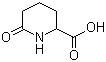 6-氧代哌啶-2-甲酸分子结构 (CAS 3770-22-7)
