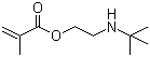2-(叔丁基氨基)乙基甲基丙烯酸酯分子结构 (CAS 3775-90-4)