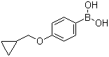 4-(Cyclopropylmethoxy)phenylboronic acid molecular structure (CAS 411229-67-9)