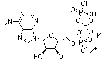 结构式 CAS# 42373-41-1, 腺苷-5'-三磷酸二钾盐