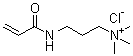 [3-(Acryloylamino)propyl]trimethylammonium chloride molecular structure (CAS 45021-77-0)