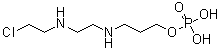 3-[[2-[(2-Chloroethyl)amino]ethyl]amino]-1-propanol dihydrogen phosphate (ester) molecular structure (CAS 45164-26-9)