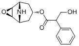 Norscopolamine molecular structure (CAS 4684-28-0)