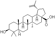 structure of CAS# 472-15-1, Betulinic acid ;3beta-Hydroxy-20(29)-lupaene-28-oic acid