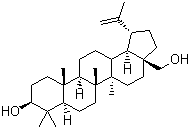 白桦脂醇分子结构 (CAS 473-98-3)
