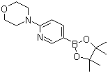 6-(Morpholin-4-yl)pyridine-3-boronic acid pinacol ester molecular structure (CAS 485799-04-0)