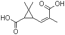 菊二酸分子结构 (CAS 497-95-0)